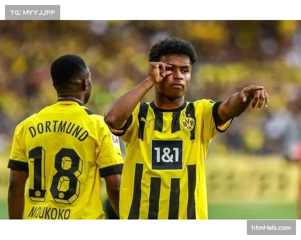 官方:多特蒙德前锋阿德耶米肌肉拉伤,赛季报销